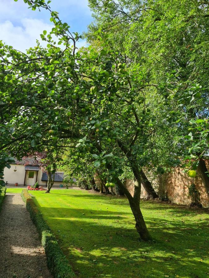 Banoge House Hotel Donaghcloney Exterior photo